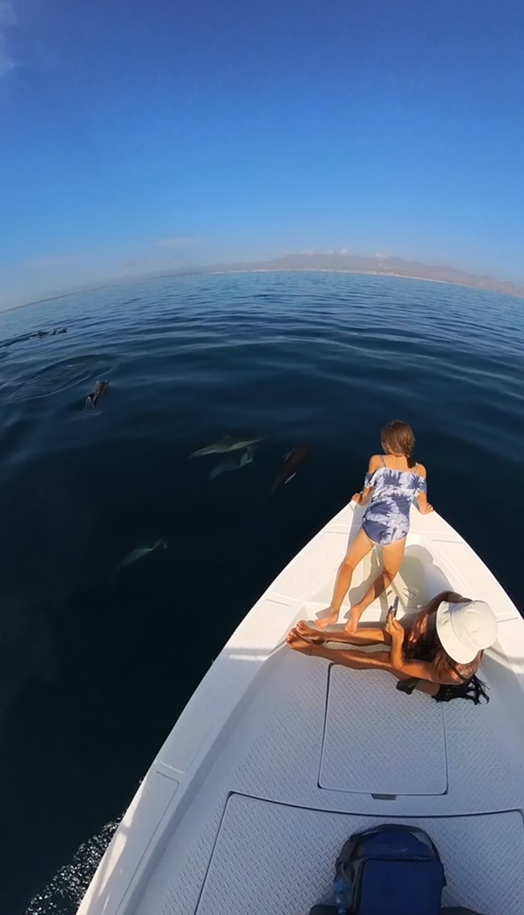 Family Tour, Sea of Cortez
