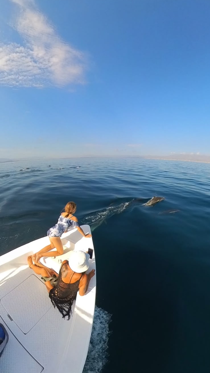 Sea Lion Snorkel, La Ventana