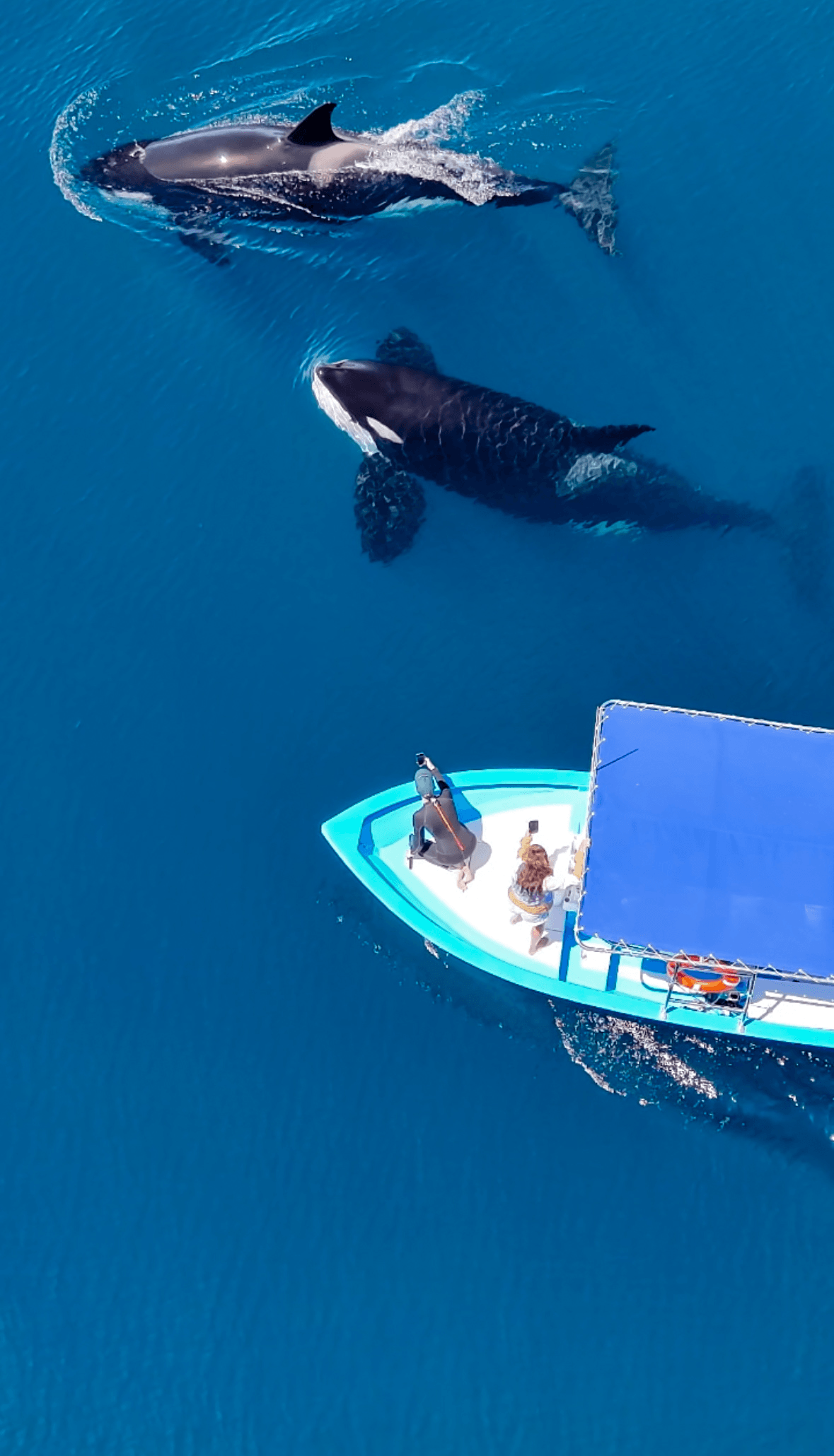 Open Ocean Expedition
