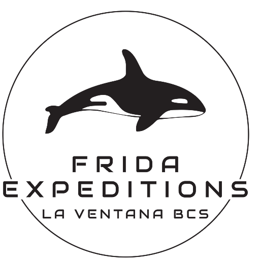Frida Expeditions